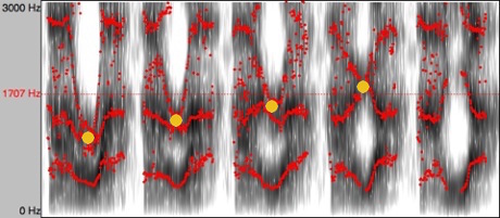 curled_to_palatal_dots